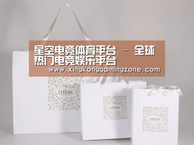 项目名称十一