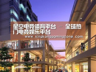 案例展示一