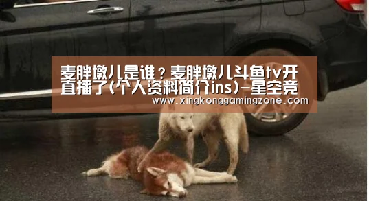 麦胖墩儿是谁?麦胖墩儿斗鱼tv开直播了(个人资料简介ins)-星空竞猜(图1) 星空视讯