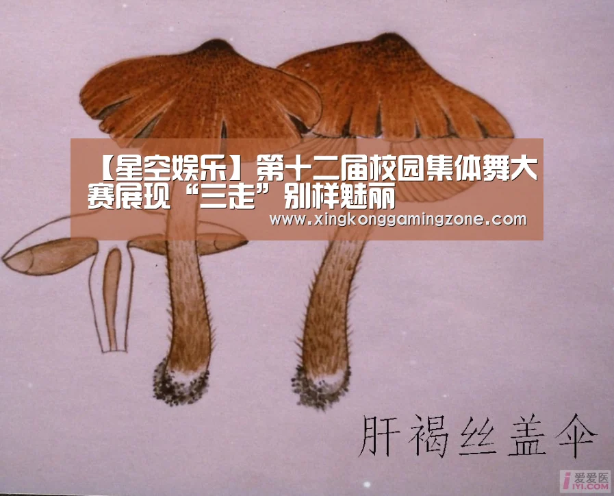 【星空娱乐】第十二届校园集体舞大赛展现“三走”别样魅丽(图3) 星空娱乐