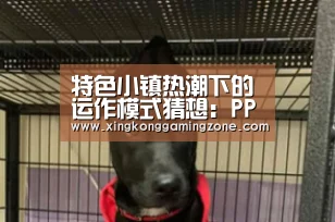特色小镇热潮下的运作模式猜想:PPP+ABS=?【星空娱乐】(图1) 星空娱乐