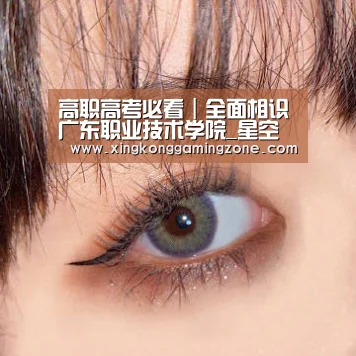高职高考必看|全面相识广东职业技术学院_星空真人(图4) 星空娱乐