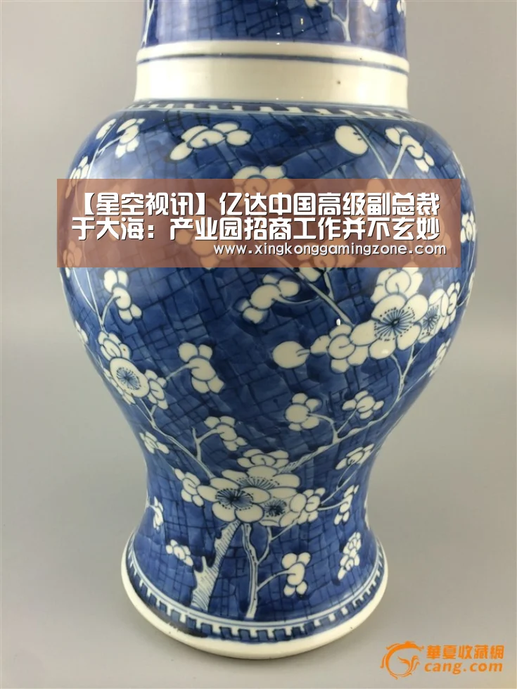 【星空视讯】亿达中国高级副总裁于大海:产业园招商工作并不玄妙,做好人文化(图3) 星空竞猜