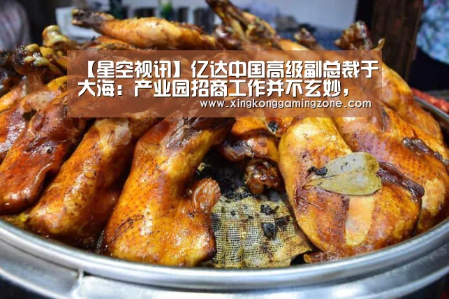 【星空视讯】亿达中国高级副总裁于大海:产业园招商工作并不玄妙,做好人文化(图2) 星空真人