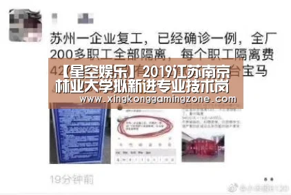 星空娱乐